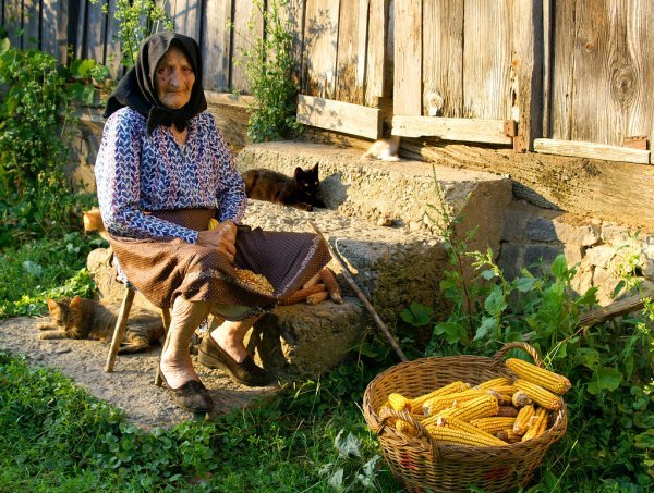 depositphotos_19482069-stock-photo-old-peasant-woman-harvests-corncobs.jpg