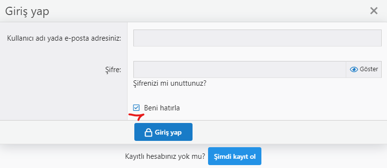 Ekran görüntüsü 2021-01-11 181122.png